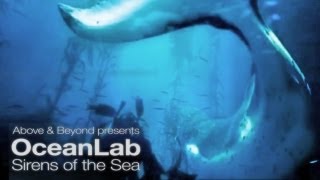 Above and Beyond pres Oceanlab - Sirens Of The Sea
