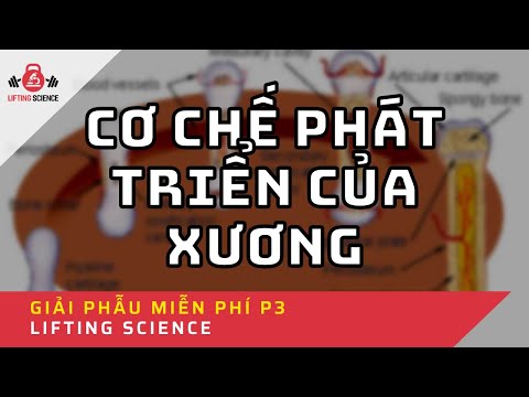 Série Giải Phẫu Thể Thao - Phần 3 |