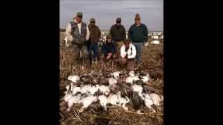 preview picture of video '2014 Spring Snow Goose Hunt'