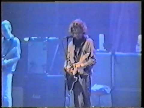 Pearl Jam - In My Tree (Berlín, 1996)