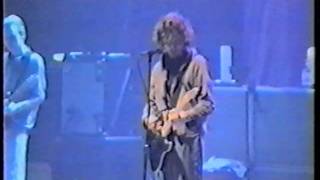 Pearl Jam - In My Tree (Berlín, 1996)