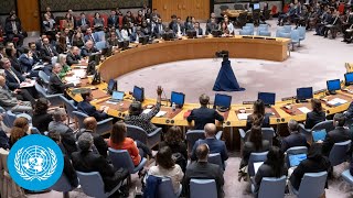 Israel/Gaza - Humanitarian Aid &amp; Situation Briefing | Security Council | United Nations | USA Veto
