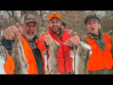 YouTube video about: How to hunt rabbits without a dog?