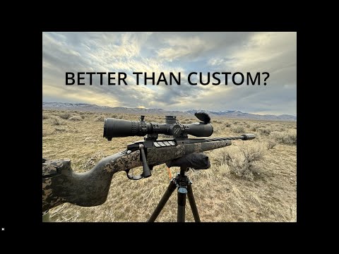 SEEKINS PH3...OVERHYPED or UNDERPRICED?