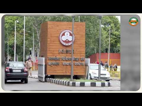 ਨਾਬਾਲਗ ਲੜਕੀ ਦੇ ਮਾਮਲੇ ਚ ਅਦਾਲਤ ਨੇ ਪੀਜੀਆਈ ਚੰਡੀਗੜ੍ਹ ਨੂੰ ਕਾਉਂਸਲਿੰਗ ਲਈ ਦਿੱਤੇ ਨਿਰਦੇਸ਼