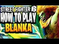 Street Fighter 6 How To Play BLANKA Guide Combos Tips