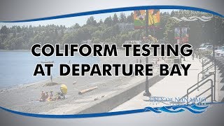 Coliform Testing at Departure Bay