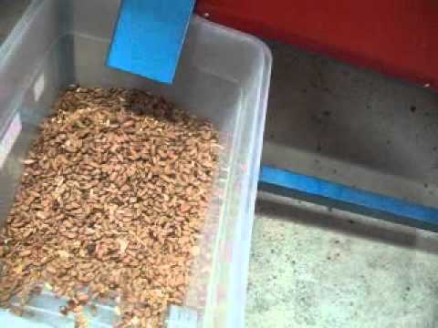 download lagu mp3 mp4 Pine Nut Harvesting Machine, download lagu Pine Nut Harvesting Machine gratis, unduh video klip Pine Nut Harvesting Machine