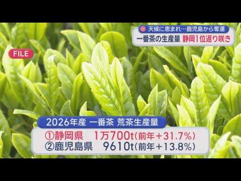 YouTube Video 一番茶の荒茶生産量で静岡県が2年ぶりトップ　前年の3割増　鈴木知事「茶業の持続的な発展に取り組む」