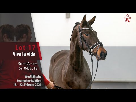 Youngster Auktion 18. - 22. Februar 2021 Lot 17 Viva la vida Stute v. Vitalis -  Daily Deal