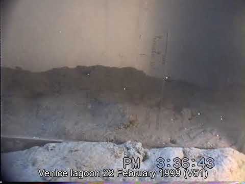 Venice lagoon 1998(V51)