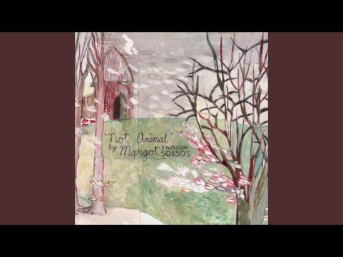 Pages Written On A Wall - Margot & the Nuclear So and So's