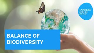 Balance of Biodiversity