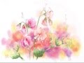 Дза ПИНАЦ ザ・ピーナッツ - Маленький цветок Petite fleur 