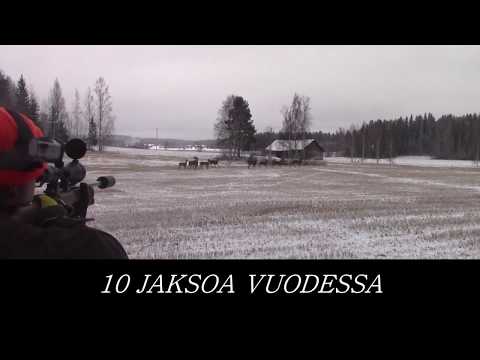 Korpi Makasiini - ILMAINEN METSÄSTYSKANAVA