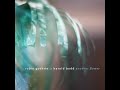 Harold Budd & Robin Guthrie - Another Flower (2020) (Full Album) [HQ]