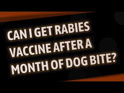 Can I get rabies vaccine after a month of dog bite?