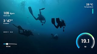 Dive 28 - Felicity Maldives - North Male Atoll - Maagiri Reef - An Eagle Ray Fly By