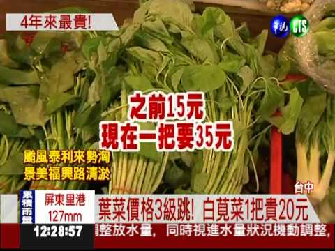 菜價飆4年新高! 主婦嘆買不下手