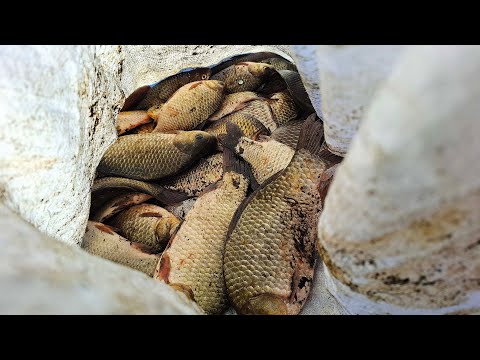 Попал на клёв карася! Рыбалка на донки весной!