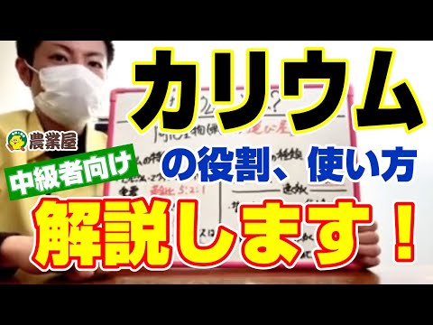 庭のための無料の天然肥料 2022