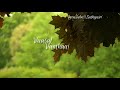 Kaatre En Vasal Vanthai WhatsApp Status A R Rahman Hits Unnikrishnan Sathyasri