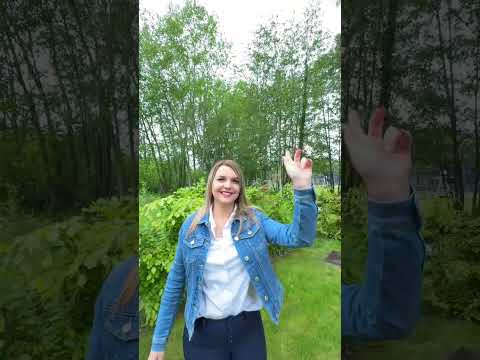 Vidéo