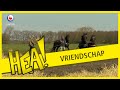 HEA! Vriendschap