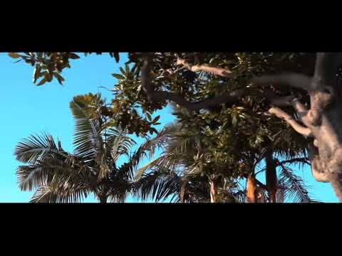 LilMani - Intro (Official Video)