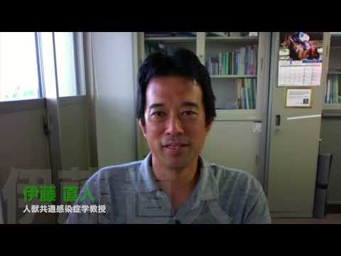 研究紹介・人獣共通感染症学研究室