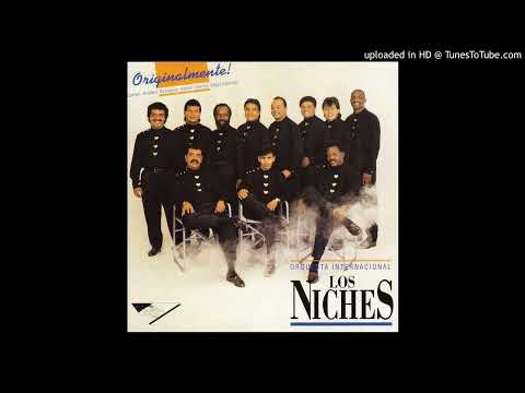 Como Duele - Orquesta Internacional Los Niches (Originalmente) 1991