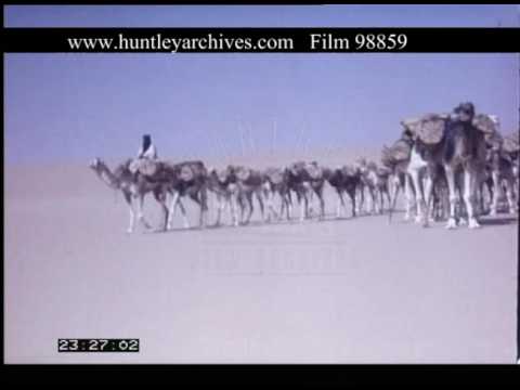 Salt Camel Caravan Niger, 1970s - Film 98859