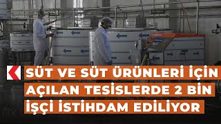 Bitlis’te süt ve süt ürünleri için açılan tesislerde 2 bin işçi istihd