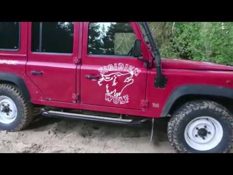 Sibirienwolf auf Tour Sibirienwolf auf Tour