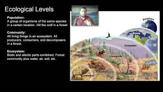Ecosystem: Relationships - Objective 1: Ecological Factors & Levels of Organization