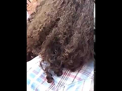 Walk for Reconciliation 2017 Vancouver