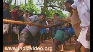 Vadam Vali (Tug of war) during Onam Season