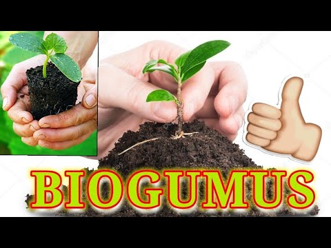Www Biogumus Pro Интернет Магазин