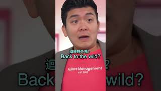 廢物管理公司的貓咖 10🐱Failure Management Cat Cafe 10 | Steven He官方中文翻譯