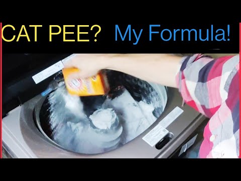😸 CAT URINE Removal From Clothes - My SECRET Formula