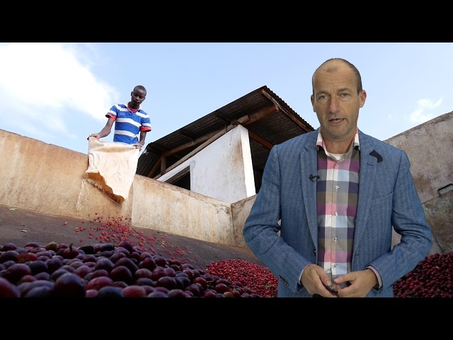 Climate Talk met Reinier van den Berg