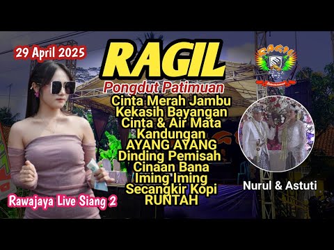 CINTA MERAH JAMBU - VERA PUSPITA LIVE RAWAJAYA  - RAGIL PONGDUT