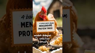 Download lagu 4 bahan pakan ayam tinggi protein yang tersedia disekitar kita #tipsandtricks #pakanayammurah #ayam mp3