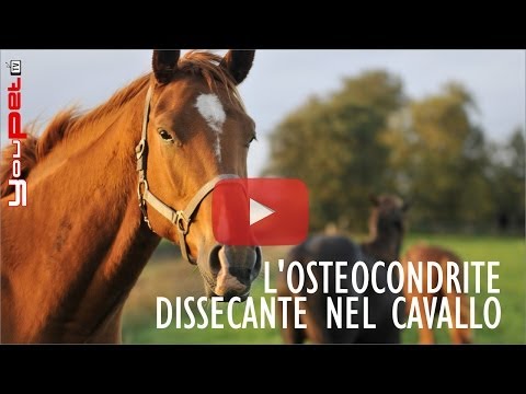 Giunti di metano Dolore e urina chiara