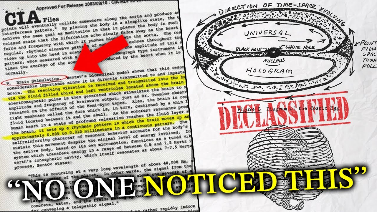 Declassified CIA Document PROVES Reincarnation Cycles Are REAL