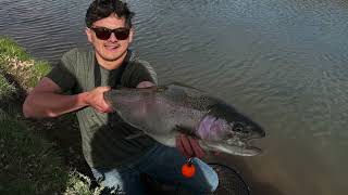 Arizona Monsters 🎣 #flyfishing #rainbowtrout #arizona #fishing