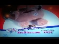 Evabillion Channel AD Stuffies Holiday