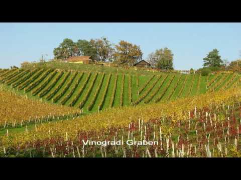 Veseli planšarji - Prelepi bizeljski kraj