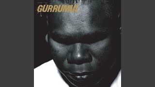Gurrumul History