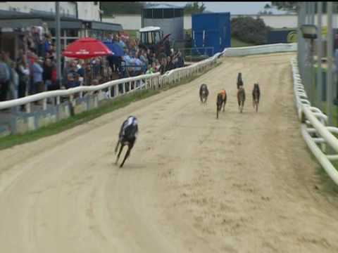 2017 TETLEYS MARATHON - T6 SHELLAM DELANO